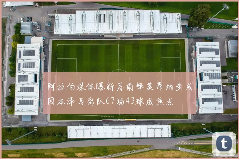 阿拉伯媒体曝新月前锋莱昂纳多或因本泽马离队67场43球成焦点
