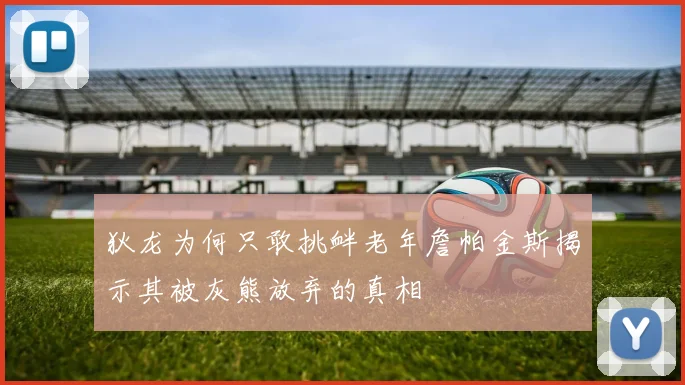 狄龙为何只敢挑衅老年詹帕金斯揭示其被灰熊放弃的真相