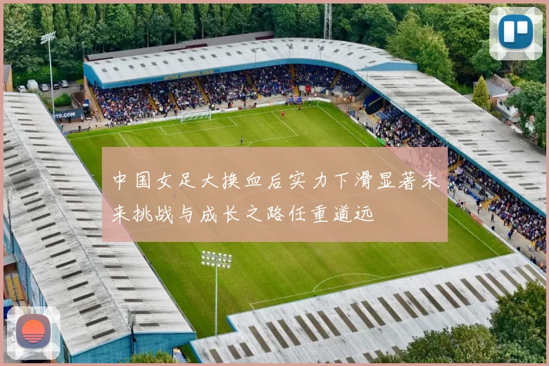 中国女足大换血后实力下滑显著未来挑战与成长之路任重道远