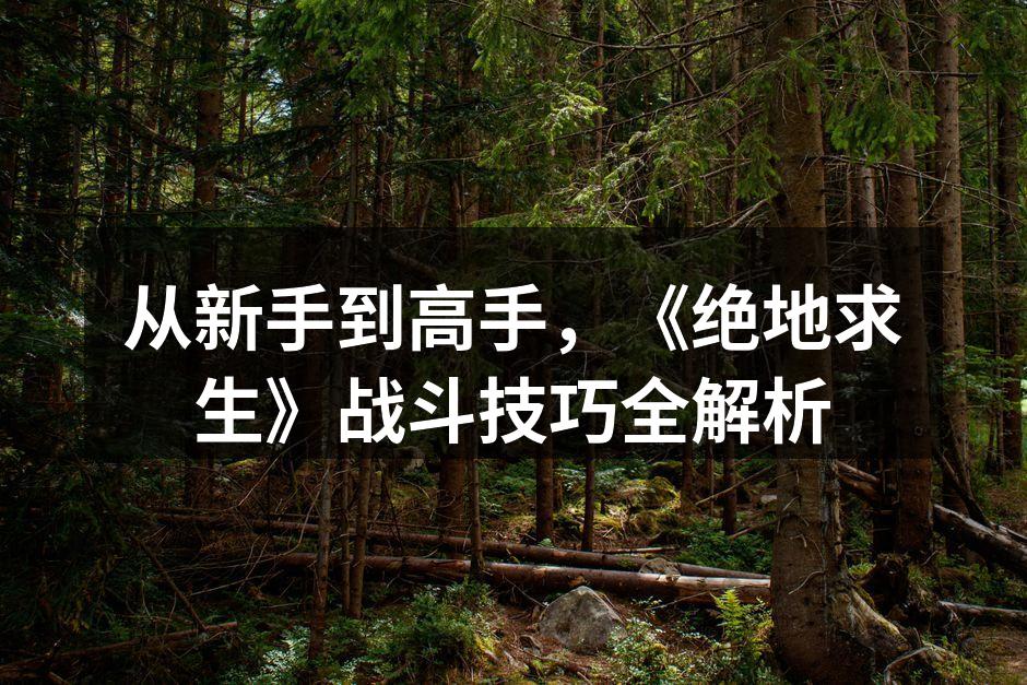 从新手到高手,《绝地求生》战斗技巧全解析